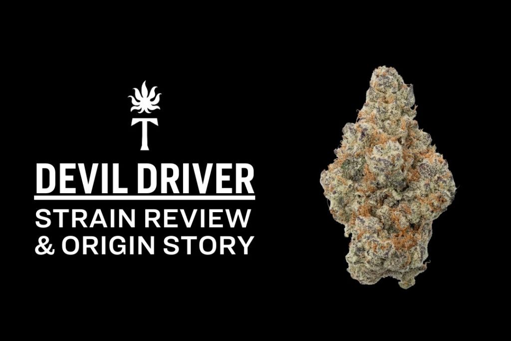 Cannabis bud next to text that reads Devil Driver strain Review & Origin Story on a black background.