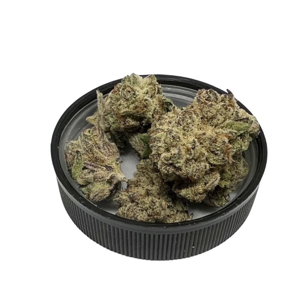 Four cannabis buds from the Devil Driver strain rest on a black circular container lid, isolated on a white background.