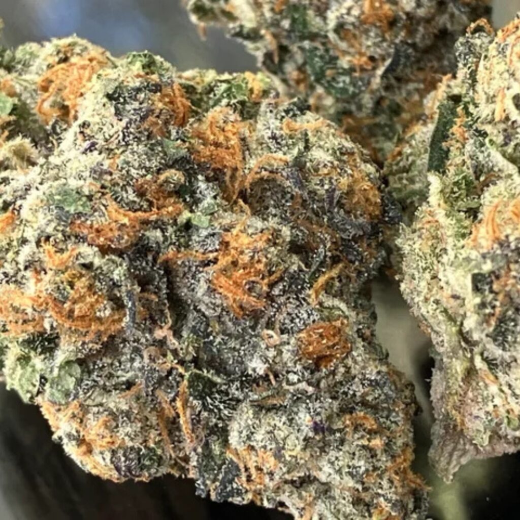 Gelato 41 Strain Review Ft. MFNY by Torches NYC