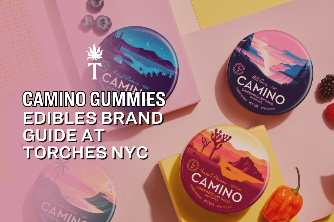 Camino gummies tins with colorful designs pop against a pink background, while a text overlay highlights Torches NYC’s Camino gummies edibles guide.