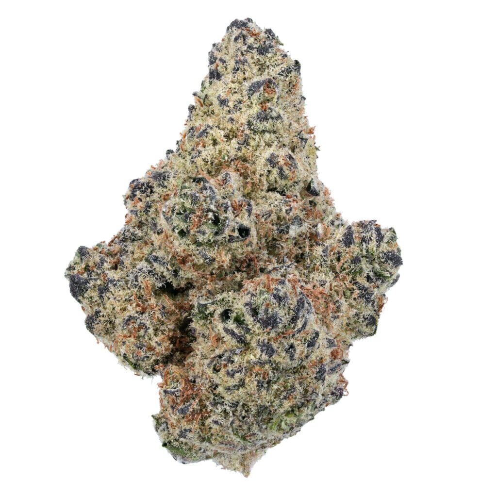 Close-up of a dense cannabis bud from the Northern Lights strain, showcasing frosty trichomes and hues of green and purple.