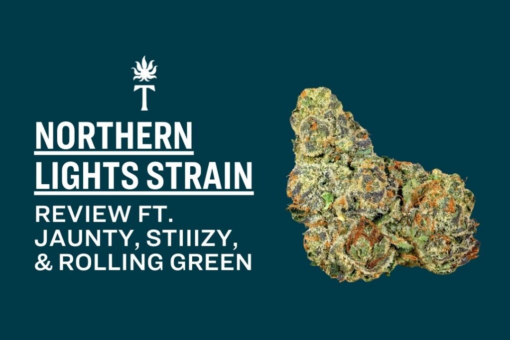 Northern Lights Strain: A Legendary Indica That Still Hits Hard