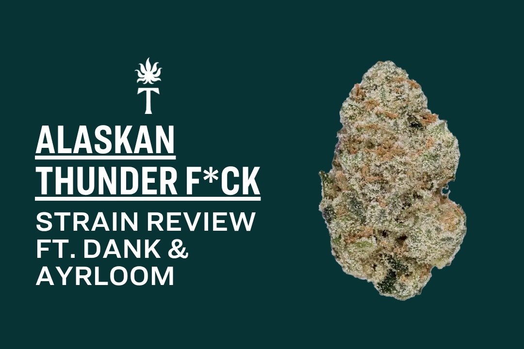 Text reads Alaskan Thunder F*ck Strain Review ft. Dank & Ayrloom with a cannabis bud on a dark green background.