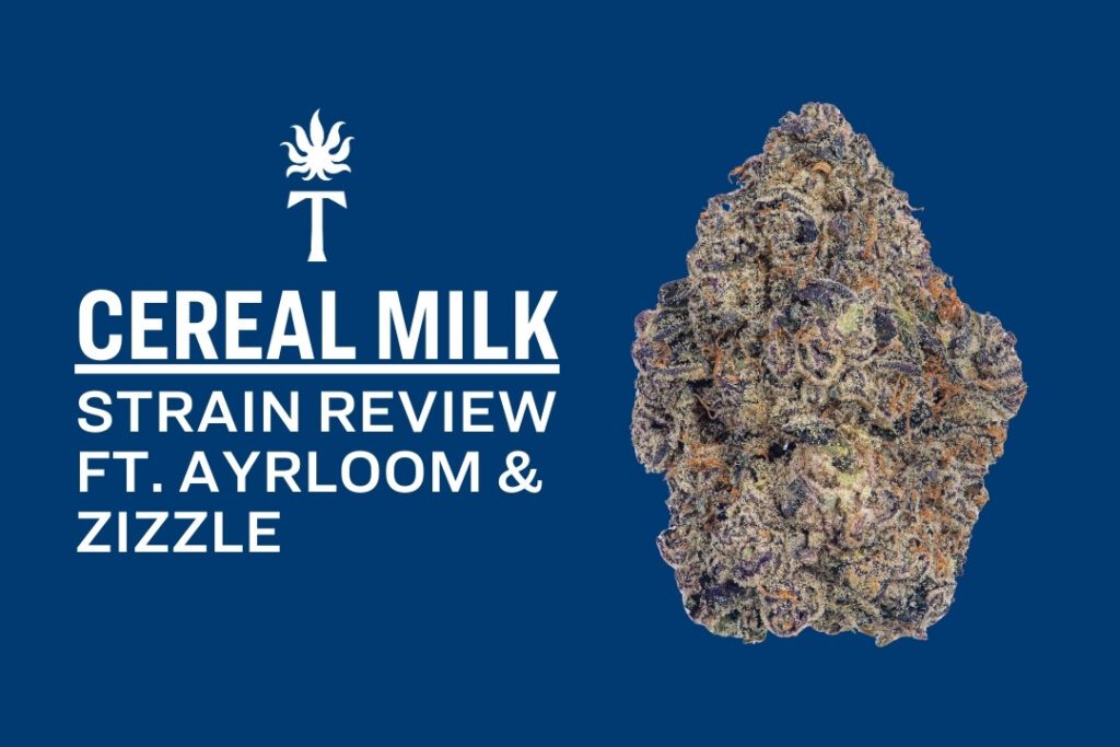 Cereal Milk strain cannabis bud with text: Cereal Milk Strain Review ft. Ayrloom & Zizzle on blue background.