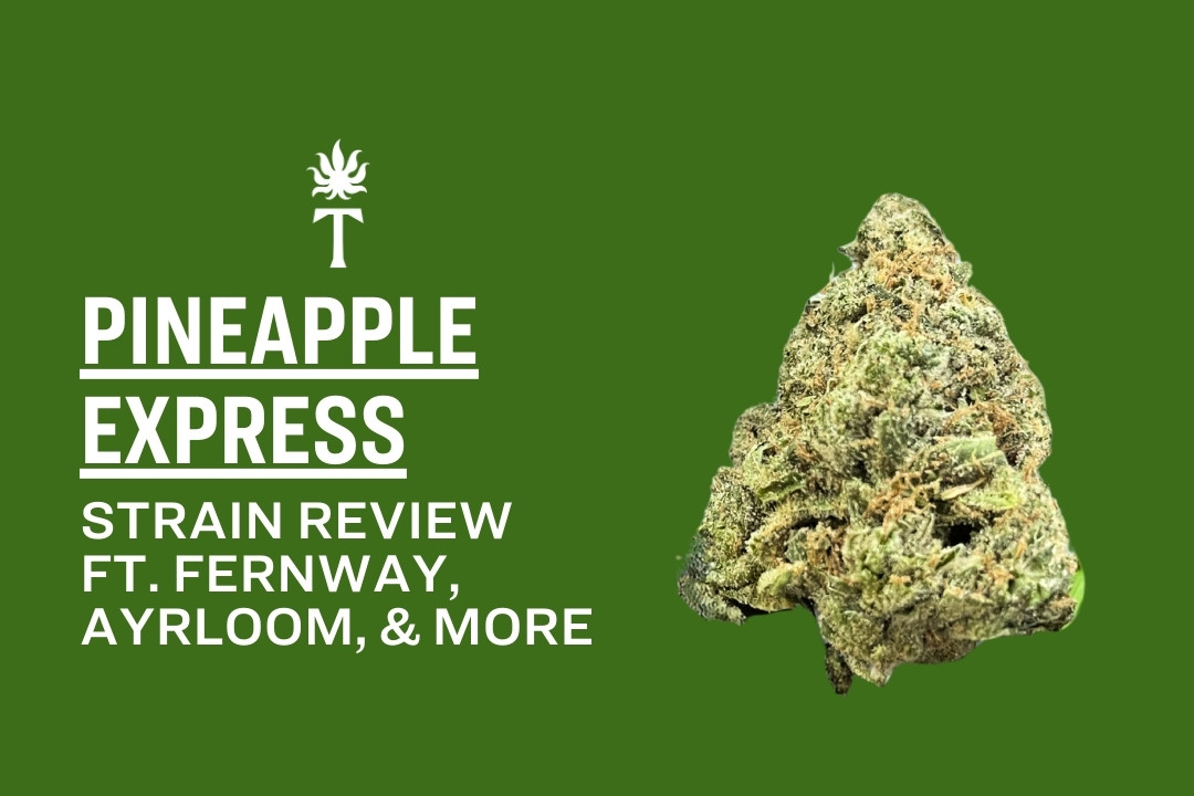 A cannabis bud next to text reading Pineapple Express strain review ft. Fernway, Ayrloom, & more on a green background.