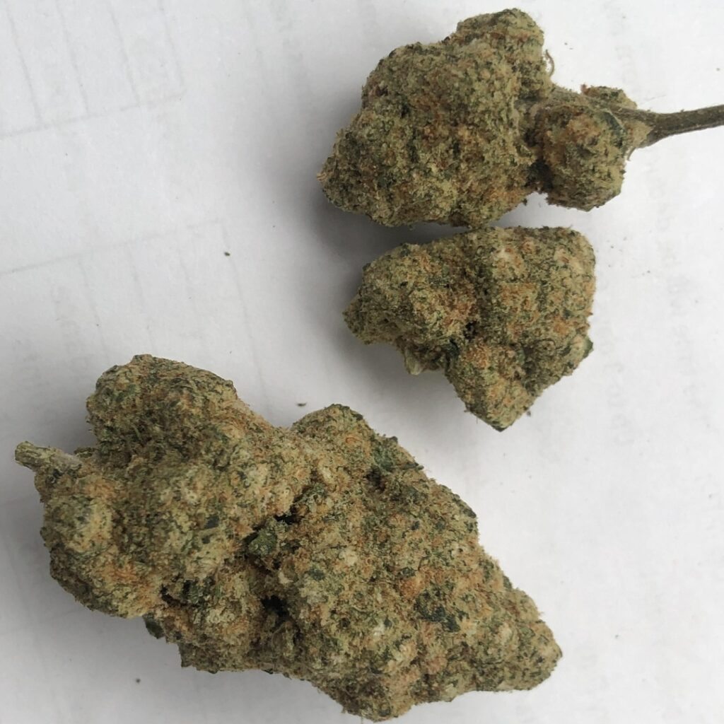 Three dried cannabis buds, possibly PGR weed, rest on a white surface.