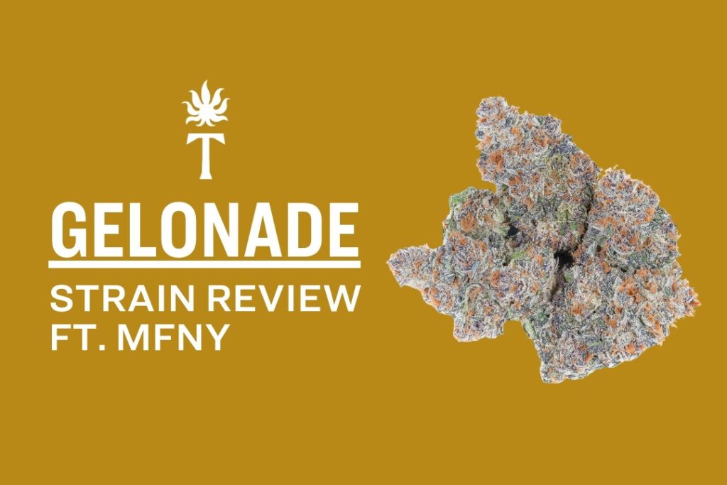 Gelonade Strain cannabis bud with text: Gelonade Strain Review ft. MFNY on a mustard yellow background.