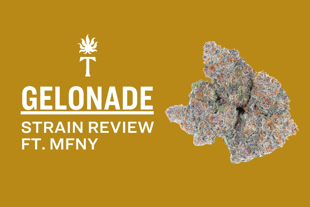 Gelonade Strain cannabis bud with text: Gelonade Strain Review ft. MFNY on a mustard yellow background.