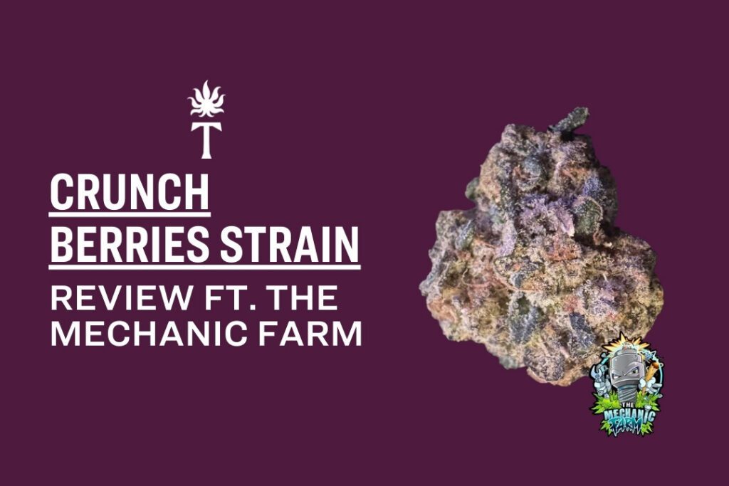Purple cannabis bud next to text: Crunch Berries strain review ft. The Mechanic Farm on a vibrant purple background.