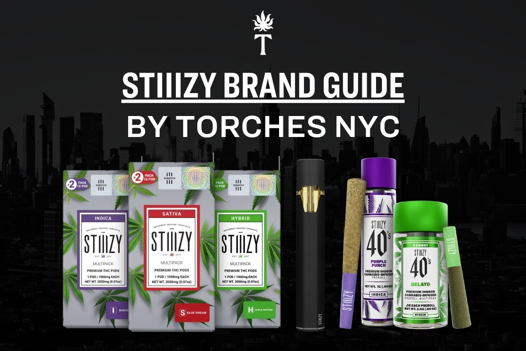 STIIIZY cannabis products lineup with STIIIZY Brand Guide by Torches NYC text over a city skyline background showcases the innovative stiiizy experience.