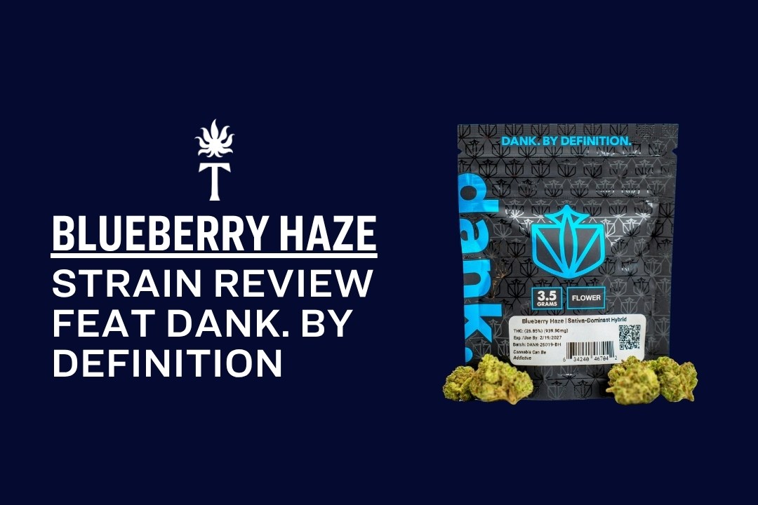 Blueberry Haze strain review with Dank. by Definition packaging and buds showcased on a dark blue background.