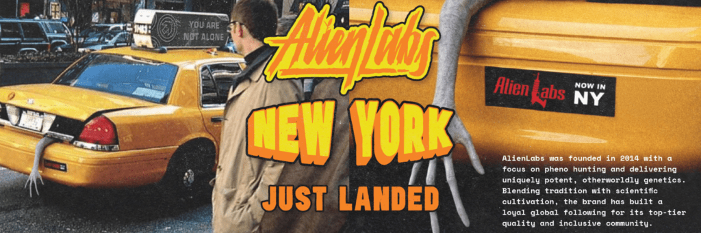A yellow taxi in New York City with bold, stylized "AlienLabs New York Just Landed" lettering, cruising past the iconic Torches NYC Dispensary.