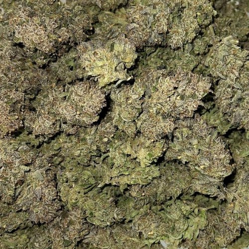 A close-up of a pile of dried Purple Haze Strain cannabis buds, highlighting their dense, green, and textured surface.