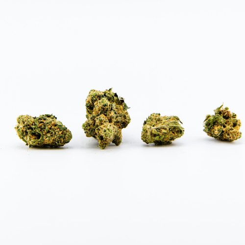 Four Blueberry Haze strain cannabis buds are lined up in a row against a plain white background.