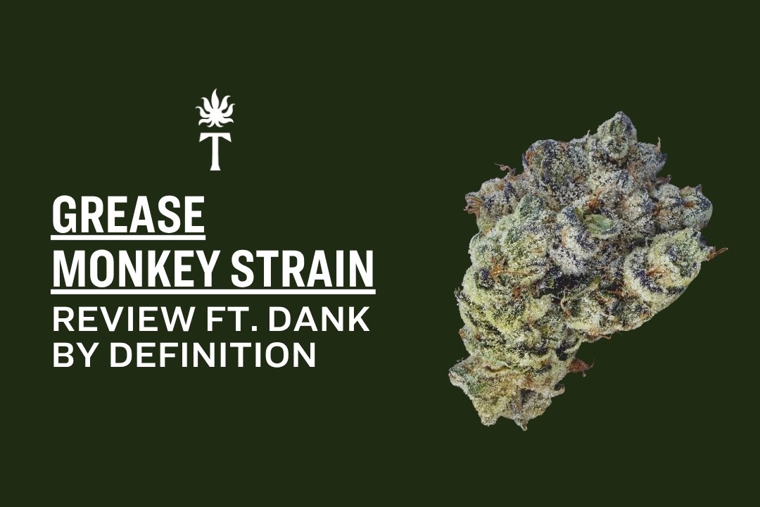 Grease Monkey Strain cannabis bud with text reading Grease Monkey Strain Review ft. Dank by Definition on a dark background.