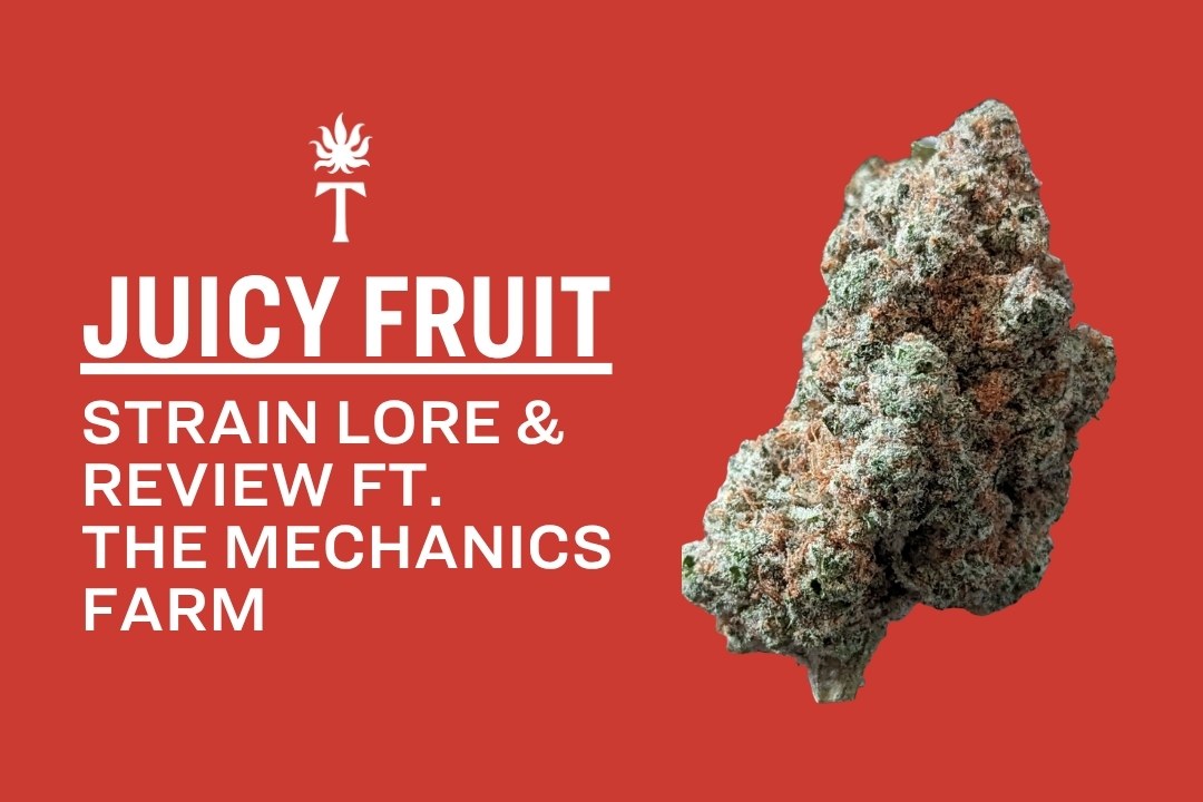 A vibrant cannabis bud sits beside text reading Juicy Fruit Strain Lore & Review ft. The Mechanics Farm on a bold red background, highlighting the unique appeal of the juicy fruit strain.