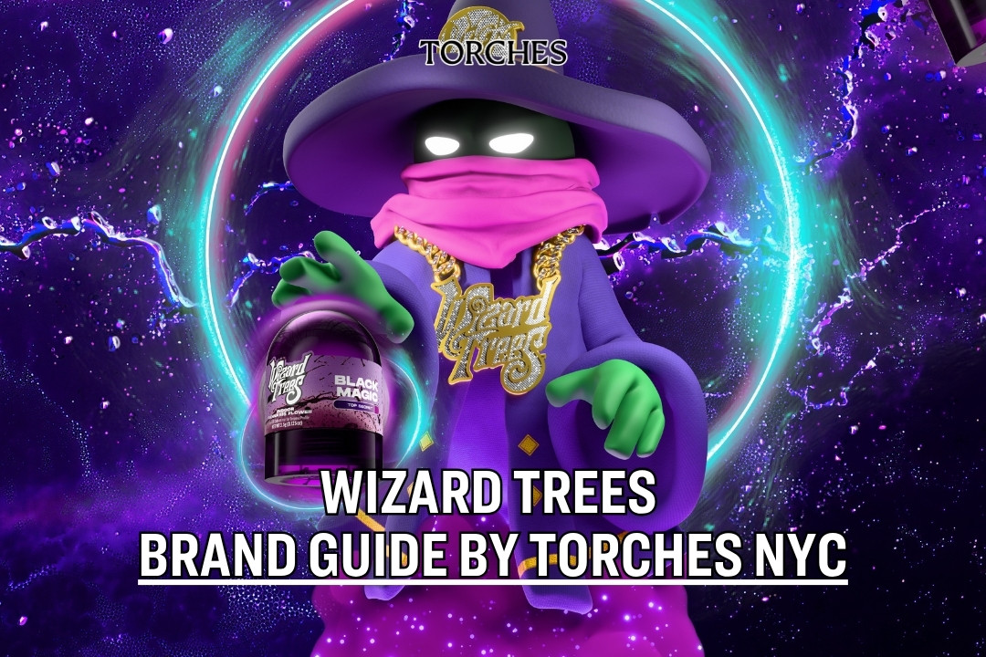A cartoon wizard holds a jar labeled Black Magic, with text: Wizard Trees Brand Guide by Torches NYC, showcasing the whimsical essence of Wizard Trees Brand.