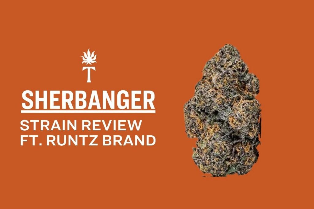 Orange background featuring Sherbanger Strain Review ft. Runtz Brand text and a sherbanger strain cannabis bud on the right.