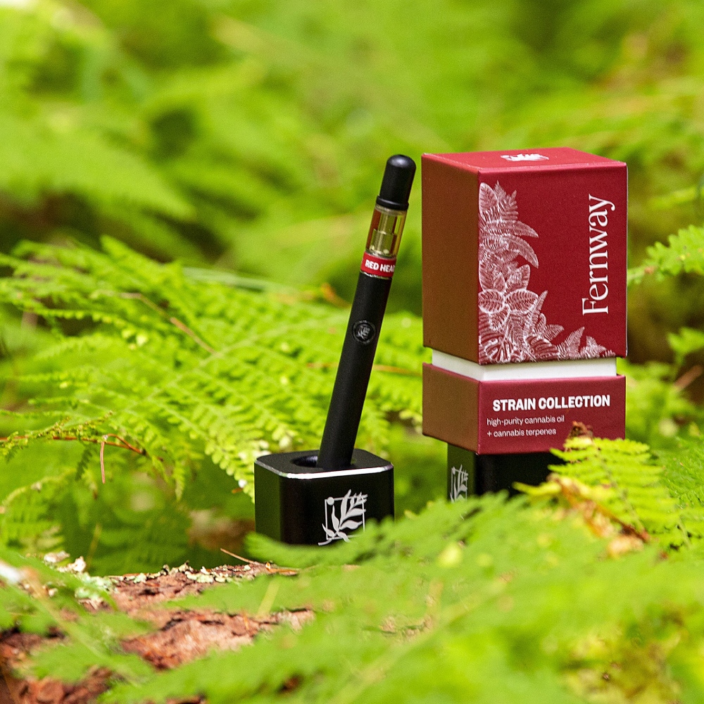 A vape pen and Fernway packaging displayed on a log surrounded by green ferns in a forest setting.