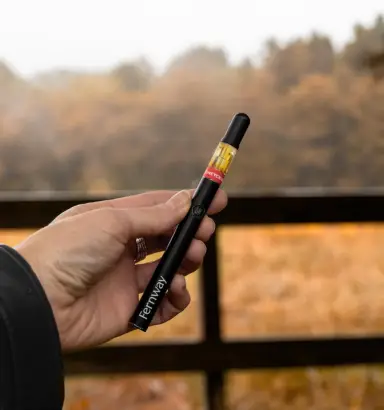 A hand holding a vape pen outdoors with autumn trees blurred in the background, capturing the laid-back vibe reminiscent of Torches NYC.