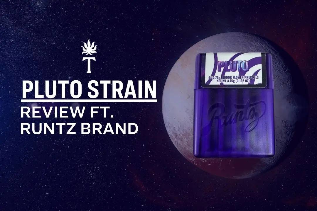 Pluto Strain Review Ft. Runtz Brand