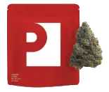 Red resealable pouch with a white design, next to a nugget of dried cannabis on a light background. Showcased by Torches NYC, this modern packaging highlights quality and freshness.