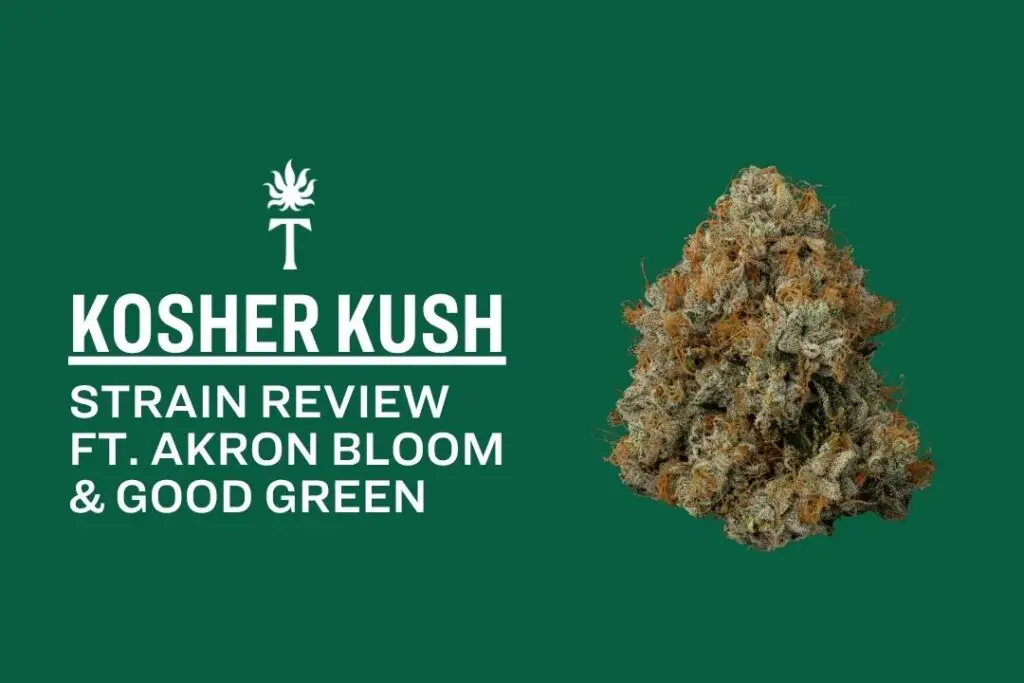 Kosher Kush Strain Review Ft. Akron Bloom & Good Green