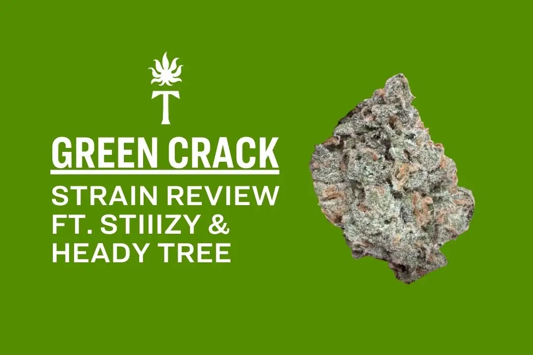 Green Crack Strain Review Ft. STIIIZY & Heady Tree