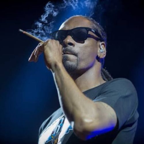 Snoop Dogg wearing sunglasses and smoking a green crack strain blunt on stage.