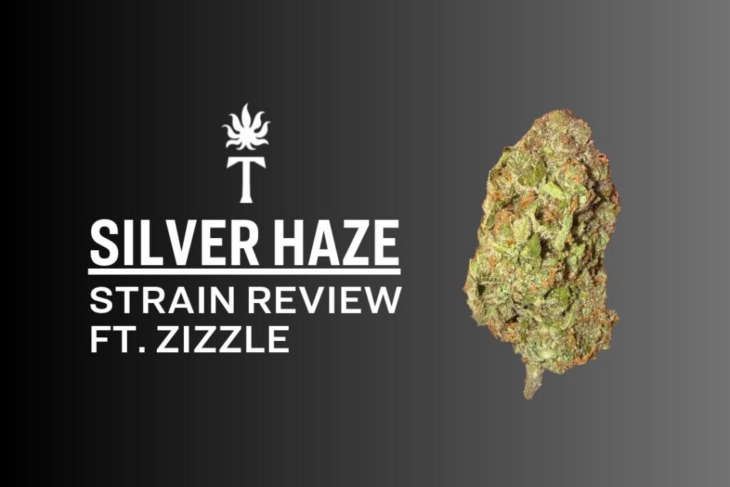 Silver Haze Strain Review Ft. Zizzle