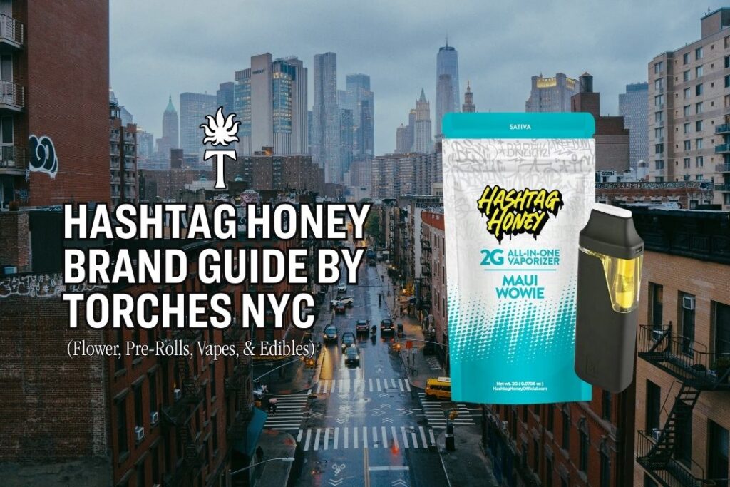 Hashtag Honey Brand Guide by Torches NYC