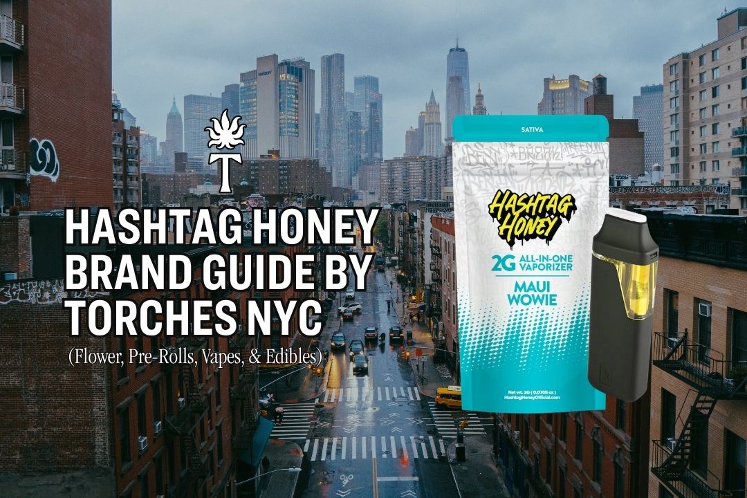 Hashtag Honey Brand Guide by Torches NYC