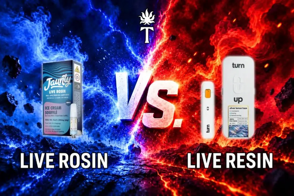 Live Rosin vs Live Resin Guide by Torches NYC
